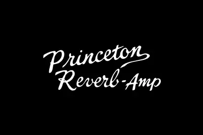 Princeton Reverb-Amp Logo Decal • $15