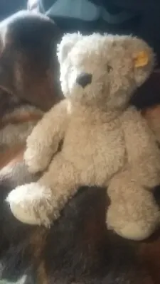 £13.40 • Buy My First Steiff Bear Small Cuddle Teddy With Ear Tag 