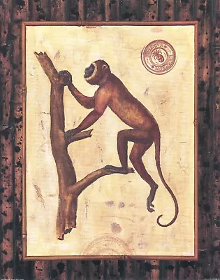 T  Brocks West Indies Monkey II 11x14 In • $9.95