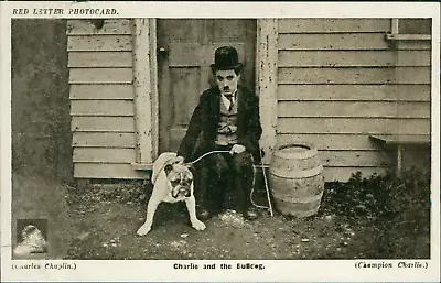 Actor Charlie Chaplin And Bulldog. Unposted. • £3.50