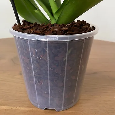 $15.90 • Buy 150mm Clear Plastic Orchid Pots With Holes | Phalaenopsis, Paphiopedilum, Garden