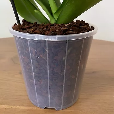 150mm Clear Plastic Orchid Pots With Holes | Phalaenopsis Paphiopedilum Garden • $15.90