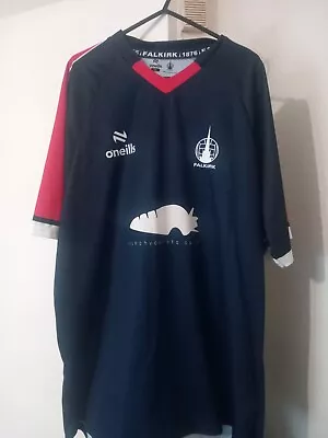 Falkirk 23-24 Home Shirt • £25