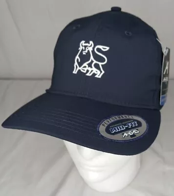 Merrill Lynch Golf Hat Bank Of America Strapback Blue Embroidered Bull AHEAD Cap • $11.99