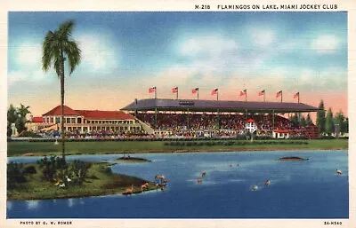 Postcard FL Miami Jockey Club Flamingos On Lake Linen Vintage PC J3730 • $4