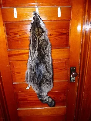 HUGE BEAUTIFUL Tanned RACCOON 4 FEET CLAWS FUR PELT TAXIDERMY R9 CABIN HAT DECOR • $56