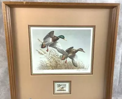 Maynard Reece 1988 Autumn Wings Duck Stamp Print W Stamp Numbered 2426 Of 5143 • $119