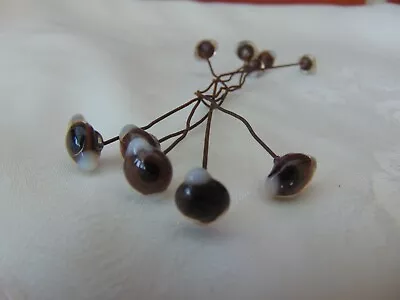 £6 • Buy 5 PAIRS ANTIQUE  12.5 - 13mm WIRED BROWN GLASS EYES DOLL TEDDY TAXIDERMY DECOY