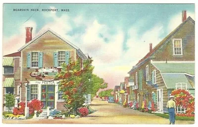 ROCKPORT MASS - BEARSKIN NECK - Vintage Postcard • $3.40