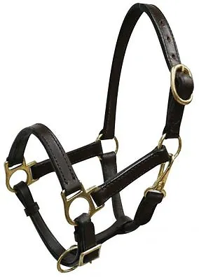 Class A Miniature Mini Size Horse Brown Leather Turnout Halter Head Collar • $17.91