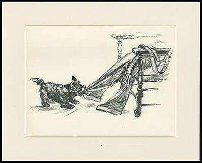 SCOTTISH TERRIER TUGS TROUSERS 1930'S DOG PRINT By VERNON STOKES READY MOUNTED • $9.85