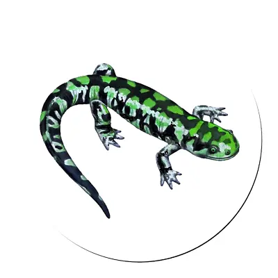 SALAMANDER LIZARD GREEN  REPTILE Pendant On 925 Sterling Silver 20  Necklace • $13.99