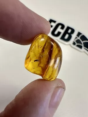 Baltic Amber With Mosquito Inclusion. 100% Real No Fakes. Uk Seller 🇬🇧 • £19.99