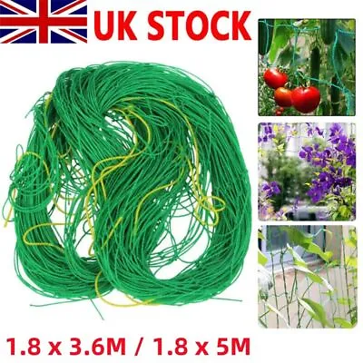 Plant Support Mesh Garden Net Vegetable Fruit Climbing Netting Pea Bean Trellis • £5.69