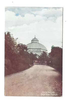 £3.75 • Buy Vintage Postcard Palm House, Sefton Park, Liverpool, Lancashire.