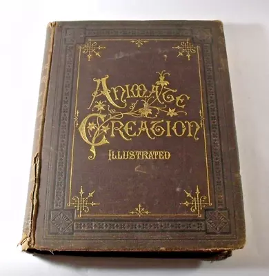 1885 ANIMATE CREATION Antique Volume II BIRDS Rev J.G. Wood • $50