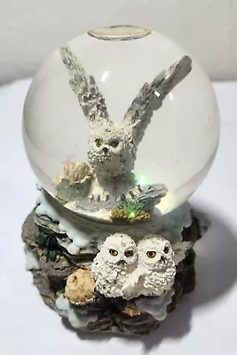 EUC Vintage Westland Snowy Owl Musical Snowglobe • $19.99