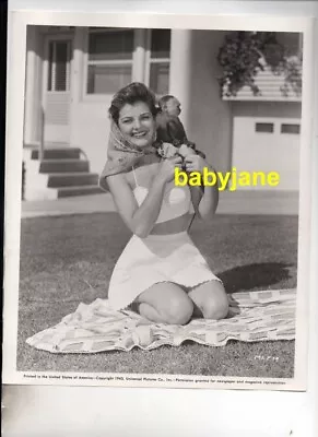 Marjorie Lord Orig 8x10 Photo Pinup Outdoors W/ Monkey 19443 Universal Pictures • $24.99