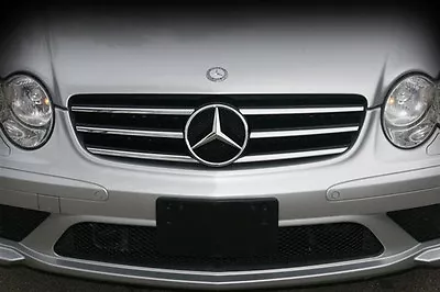 Mercedes SL55 SL 55 SL65 65 AMG Sport Lower Bumper Mesh Grille 2007-2008 Models • $95