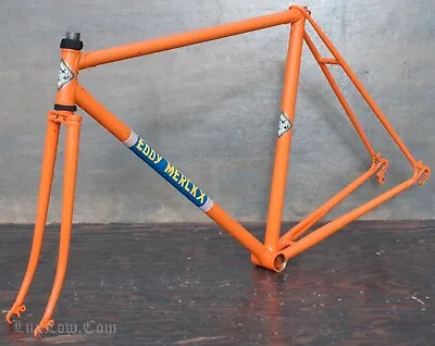 Vintage Eddy Merckx Molteni Orange Road Bike FRAME & FORK 531 Campagnolo Bicycle • $420