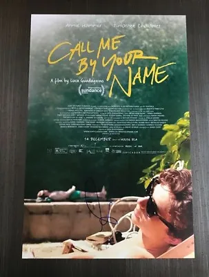 * ARMIE HAMMER * Signed Autographed 12x18 Poster Photo *CALL ME BY YOUR NAME* 4 • $246.13