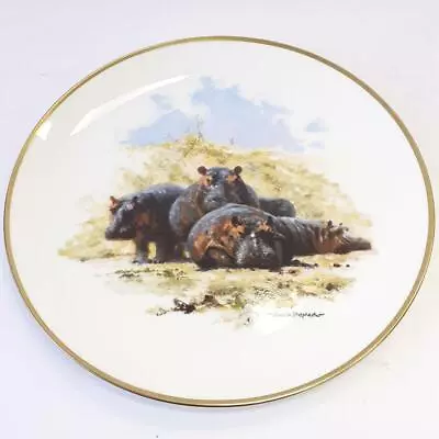 Wedgwood David Shepherd Wildlife Collection Hippopotamus Ltd Ed Bone China Plate • £13.50