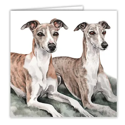 £2.99 • Buy Whippet Pair Greetings Card Dog Blank Card Dogs Whippets WAGGYDOGZ Cards Pets