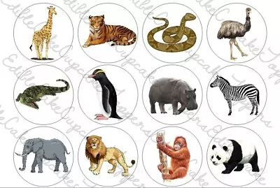 Zoo Animals Cupcake Toppers Edible Cake Icing • £2.69