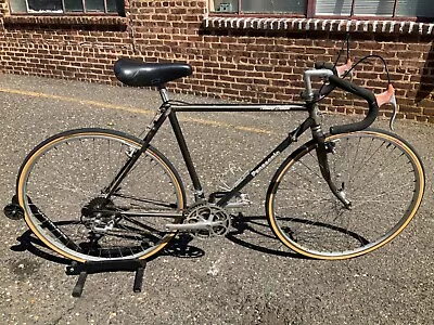 Vintage Handmade Panasonic Touring Deluxe Japan Road Bicycle Racing Bike 54cm • $399.20