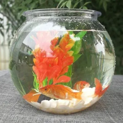 Goldfish Bowl Desktop Round Aquarium 2.8/4L Transparent Plastic Plant Fish Tanks • $63.22