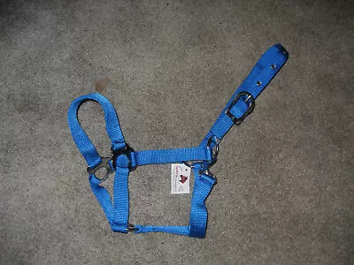 Teal Blue Cob / Arabian Nylon Halter With Snap At Throat Adjustable  Crown • $6.99