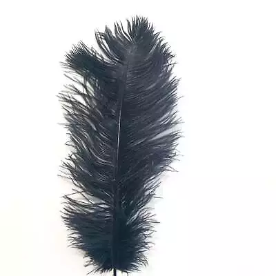 Ostrich Feather Drab 37-42cm - Black • $4.20