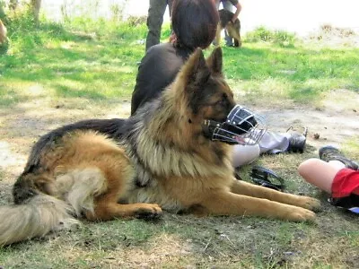 New Strong Metal Wire Basket  Dog Muzzle For German Shepherd  Labrador • £25.99