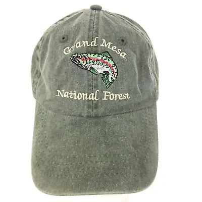 Grand Mesa National Forest Hat Bass Fishing Logo Golf Vacation Baseball Dad Cap • $19.99