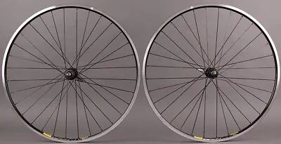 Mavic Open Pro Rims Miche Hubs Road Bike Wheelset Campagnolo DT Competition • $399