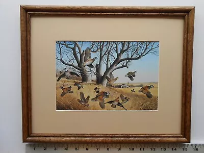 Maynard Reece MINIATURE SERIES III-BOBWHITES 11x14 Framed 6.0 239 • $35