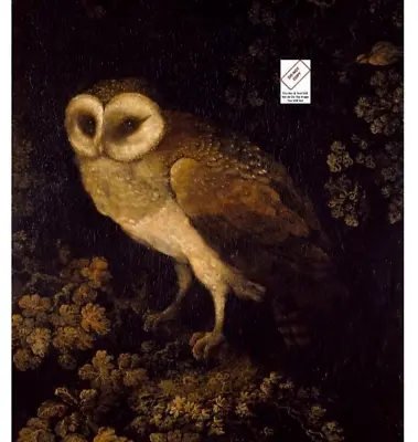 Antique Owl Painting Academia Moody Rustic Bird Print Vintage Fine Wall Art 314C • $9.95