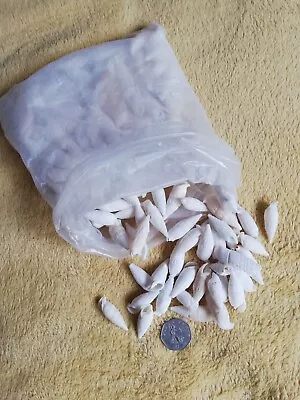 Job Lot Of White Shells Craft Beach Wedding Confetti Fairy Garden Seashells • £5.99