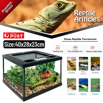 Reptile Terrarium Cage Enclosure Lizard Snake Frog Spider Scorpion Insect Glass  • $83.58