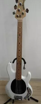 MUSICMAN / STINGRAY EX (no.240131) • $1402.84