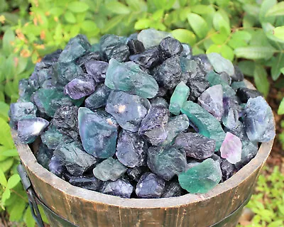 1/2 Lb Bulk Lot Natural Rough Fluorite (Raw Crystal Mineral Healing Rock 8 Oz) • $10.75