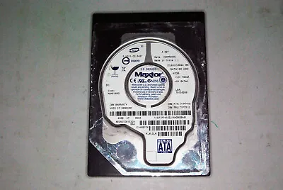 Maxtor DiamondMax 8S 6E040T091532A SATA 3.5  40Gb Hard Drive IBM 71P7418 • $14.95