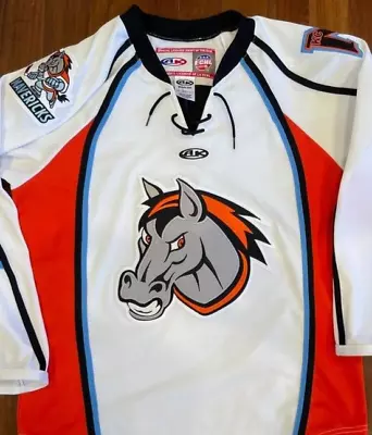 Kansas City Mavericks AK ECHL Hockey Jersey - Minor League - Small - MiC • $80