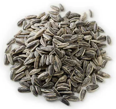 Roasted And Salted Sunflower Seeds In With Shell 1kg 2kg 500g 5kg Pipas Bulk Uk • £14.95