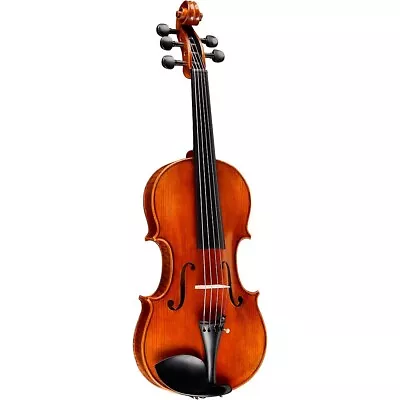 Bellafina Violina 5-string Violin Outfit 14 In 197881102609 OB • $599.99