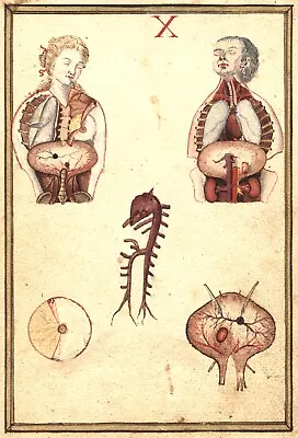 11845.Decor Poster.Room Wall.Home Design.Vintage Early Medical Anatomy Chart • $53