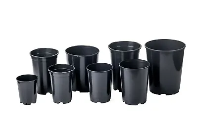 Deep Rose Pots 1.747 Litre Quality Plastic Plant Pot Tall Black Strong Flower  • £3.99