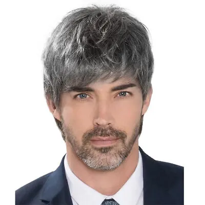 Handsome Men Full Hair Wigs Silver Grey Short Layered Natural Straight Curly US • $14.62