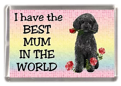 Poodle Black Dog  Fridge Magnet  I Have The BEST MUM IN THE WORLD  By Starprint • £3.50