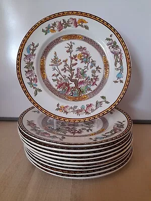 1 X Beautiful Vintage Washington Pottery Indian Tree  Salad Dinner Plate 22.5cm • £8.50